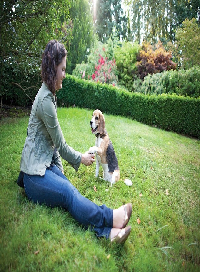 بيت سيف طوق استقبال PetSafe Elite للكلاب الصغيرة، مناسب للكلاب التي يزيد وزنها عن 5 أرطال، مقاوم للماء مع خاصية التنبيه الصوتي والتصحيح الساكن. - Image 3